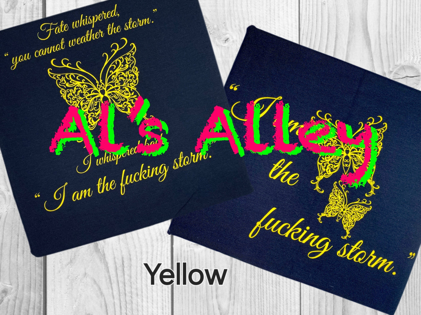 PREORDER I Am The Fucking Storm Adult Panel Set