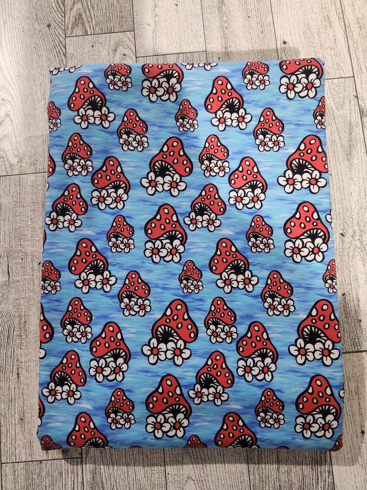 RETAIL Cotton Spandex Mushroom Village Coord