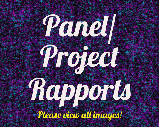 PREORDER Panel/Project Rapport