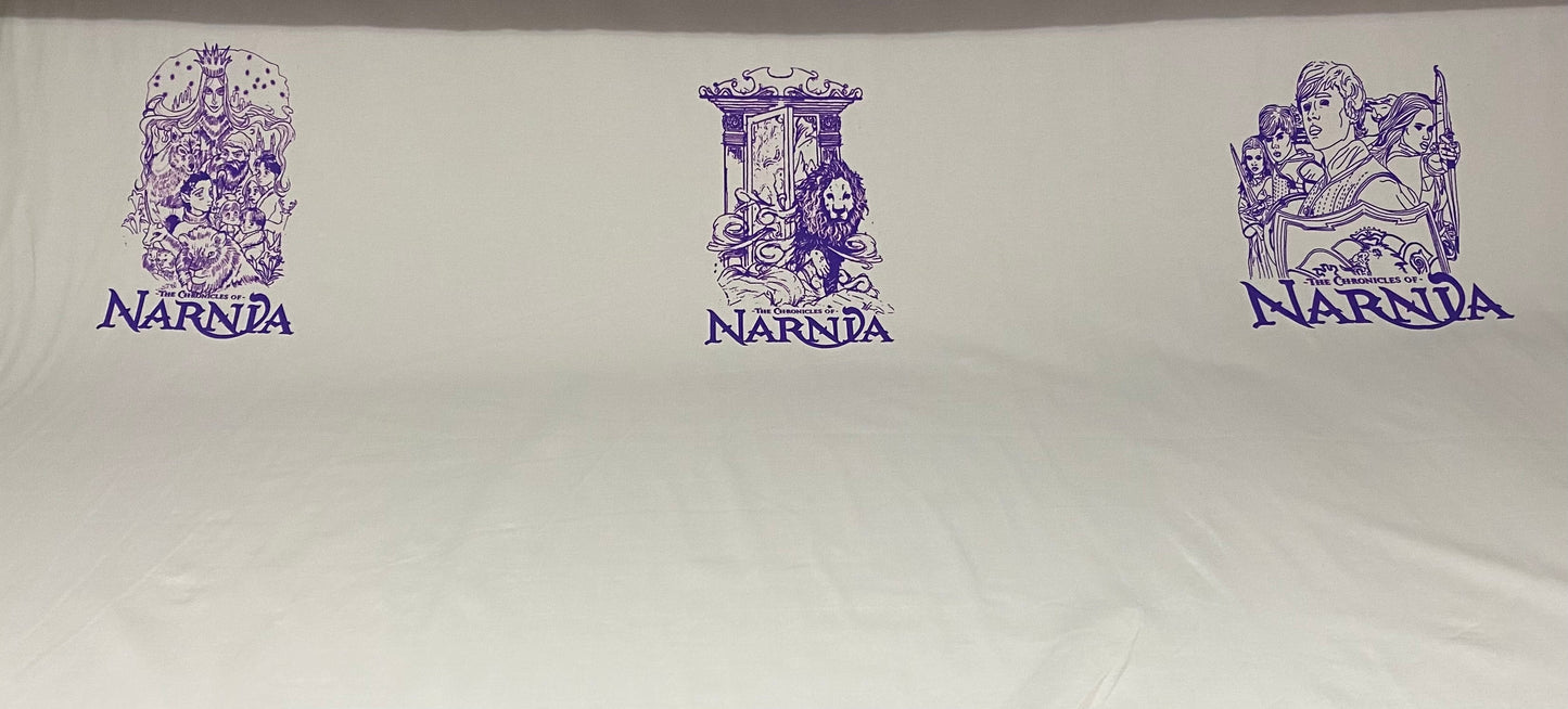 PREORDER Enter Narnia Big Kid Panel Set
