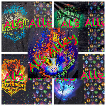 PREORDER Wizard World Blanket Topper