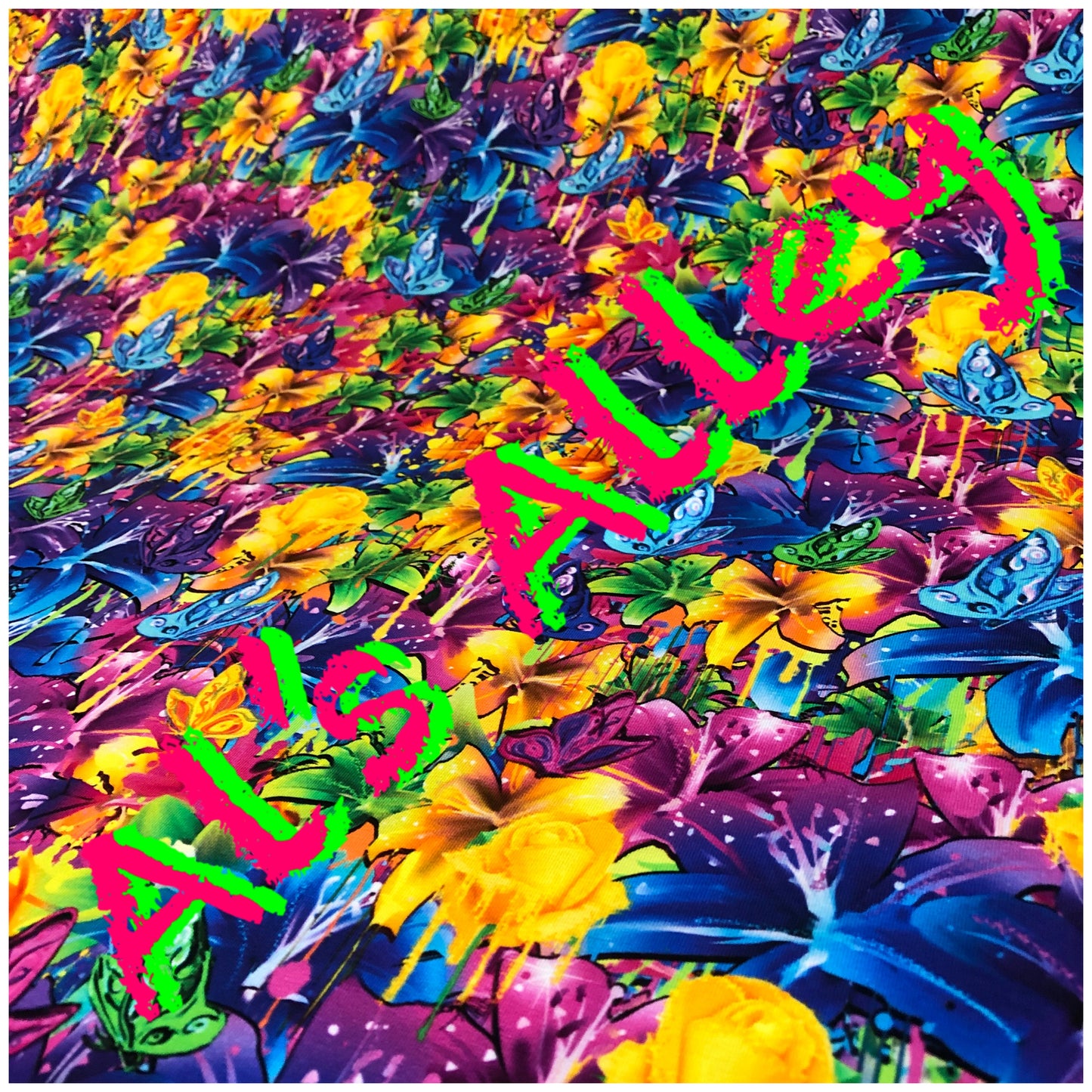 PREORDER Paradise Reimagined